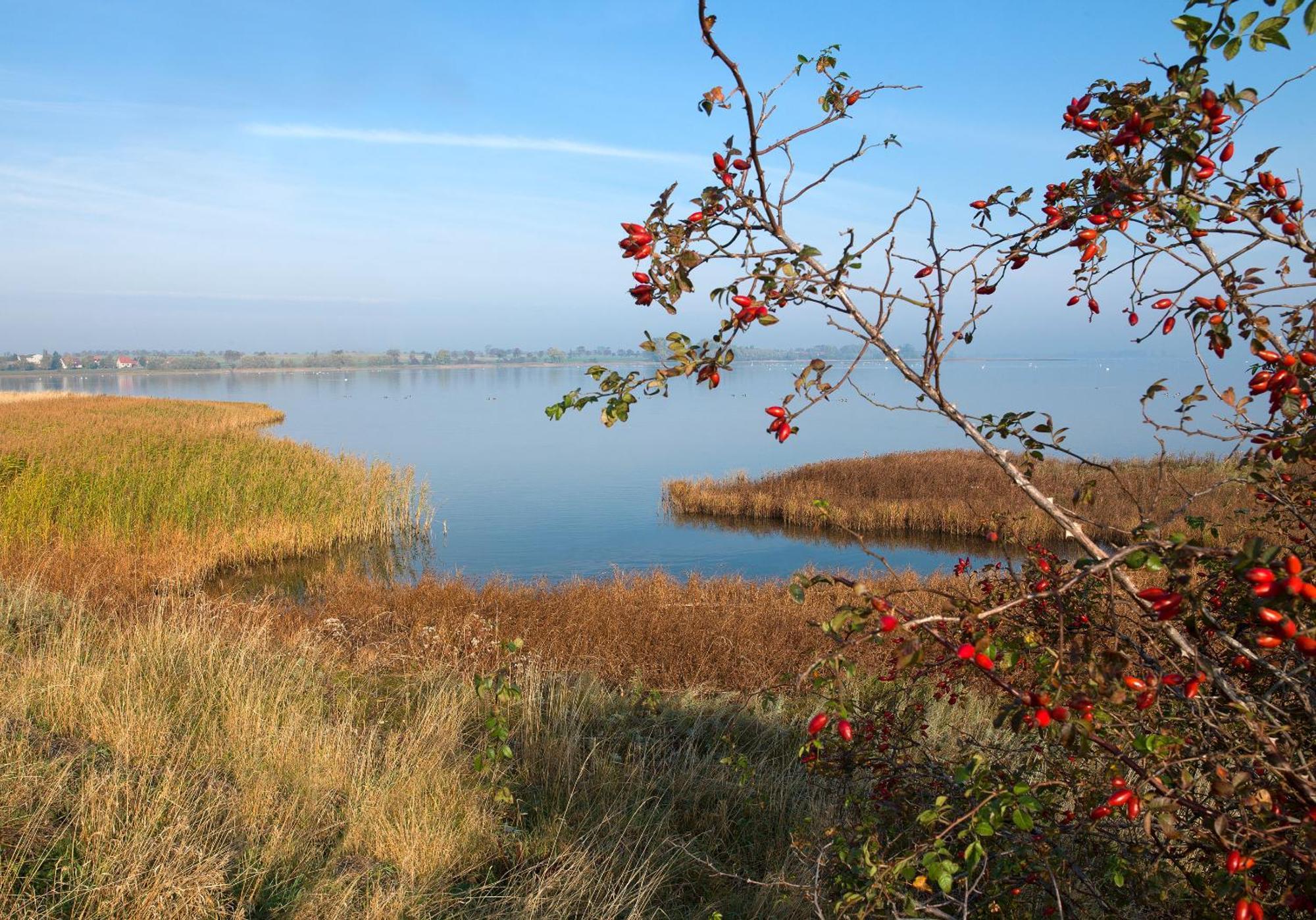 Gaude Tiet Apartment Insel Poel Luaran gambar