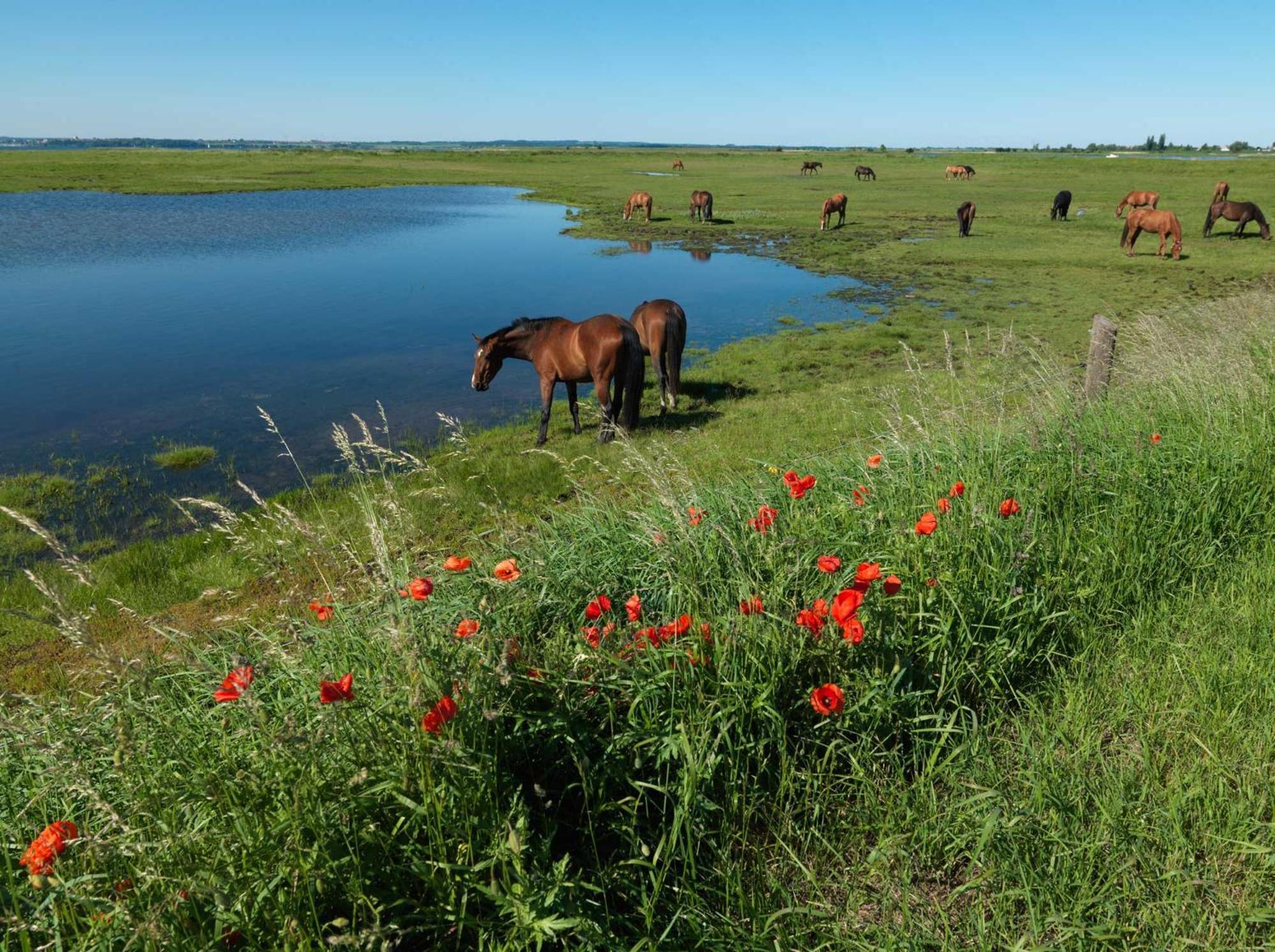 Gaude Tiet Apartment Insel Poel Luaran gambar